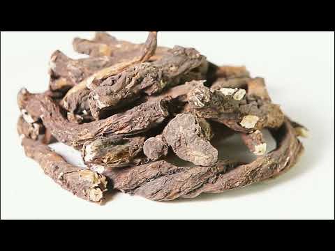 Одуванчик корень