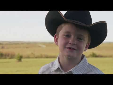 This is the Angus cattle | The Marbled Meat Club