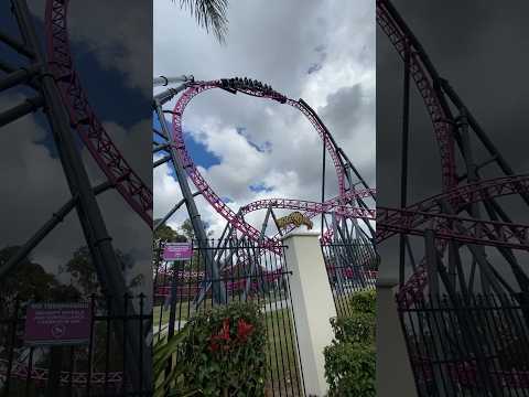 Crazy Loop 😨 #shorts #themepark #rollercoaster #joker #dc #movieworld #hypercoaster #fyp #australia