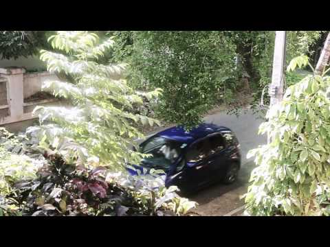 Aaron Julius Punnen Car care app- 2kRPM