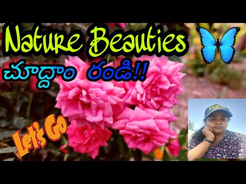 NATURE BEAUTIES - ప్రకృతి అందాలు part-3 | TASTE & NATURE | Srilakshmi B