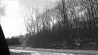 Teen Suicide "Falling in Love" Music Video