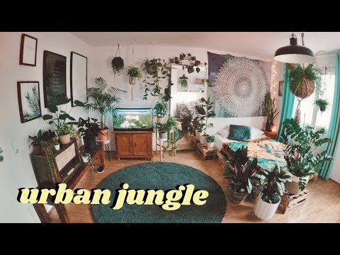 download lagu mp3 mp4 Urban Jungle, download lagu Urban Jungle gratis, unduh video klip Urban Jungle