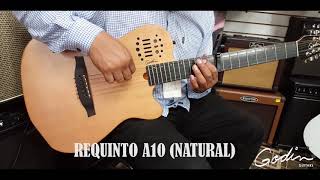 Video thumbnail for GODIN A10 (NATURAL) by Casa Musical Amadeus TV
