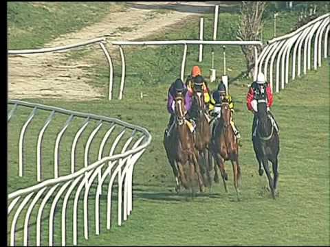 Galoppo 07/02/2017 - 1ª corsa