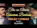 Tiro ao Álvaro - Elis Regina e Adoniran Barbosa | Violão 7 Cordas