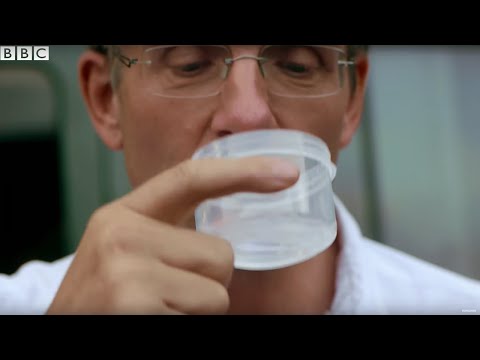 Swallowing Tape Worm Eggs! | Earth Science