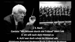 J. S. Bach - Cantata "Wir Müssen durch viel Trübsal" BWV 146 (3/5)