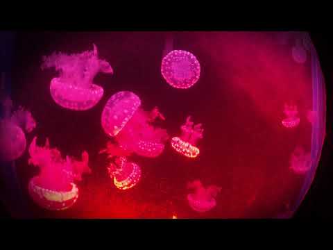 Eeriegeist - Electro Bubbles