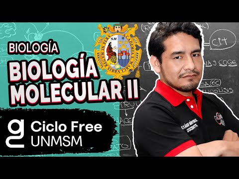 BIOLOGÍA - Biología molecular Parte 02 [CICLO FREE]