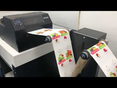 Mini+ y Epson C6500 · en línea