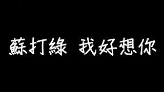 蘇打綠 我好想你 歌詞