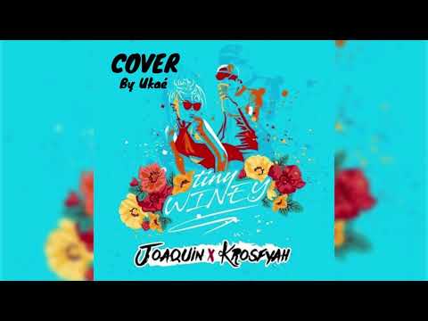 Joaquin x Krosfyah - Tiney Winey (Steel Pan Cover by Ukaé) "2019 Soca"