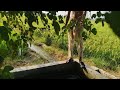 Village Swimming Video Tube Well Pakistan Shani Swimming Tubewell Swimming Bathing