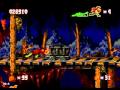 Pitfall The Mayan Adventure Glitch