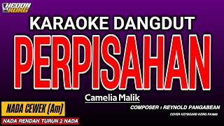 Download lagu PERPISAHAN KARAOKE DANGDUT - CAMELIA MALIK mp3