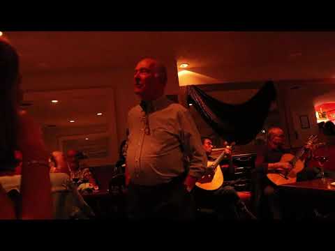 Manuel Cardoso de Menezes - A Micas do Bairro Alto