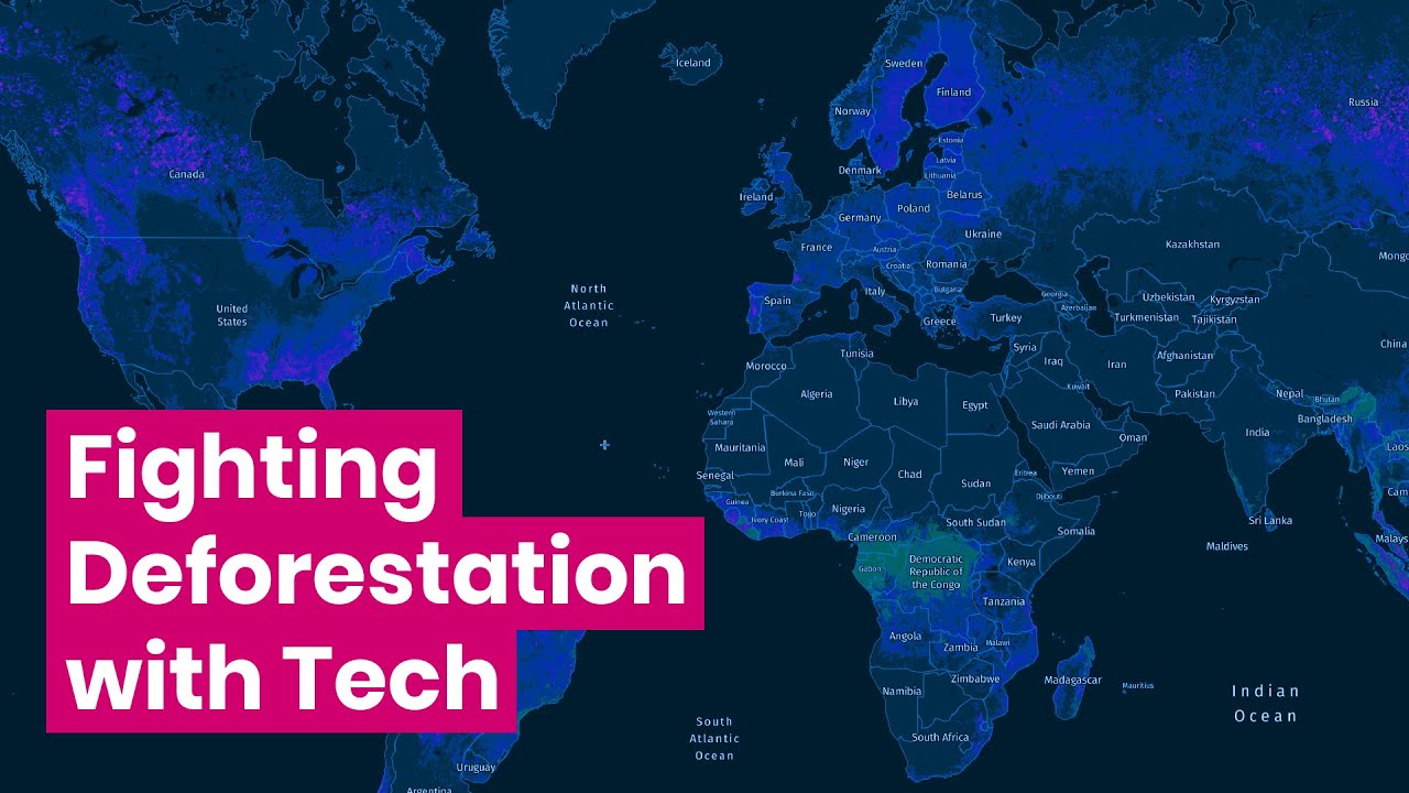 How Global Forest Watch Uses Communities & Technology to Combat Deforestation | #Technovation