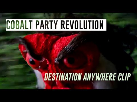Cobalt Party Revolution - Destination Anywhere (OFFICIAL CLIP)