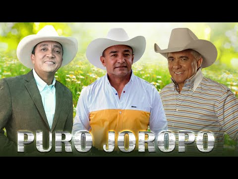 Reinaldo Armas, Vitico Castillo, Jorge Guerrero - Lo Mejor De Musica llaneras - Puro Joropo Mix