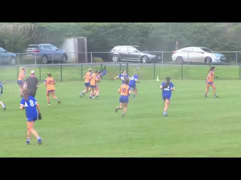 Highlights of Laois v Clare