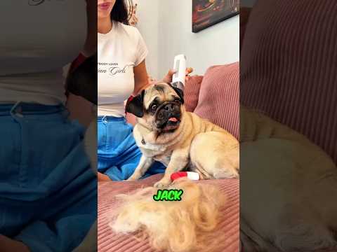 Max Got Revenge 😨😱