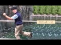 Fish Fact Fun DVD Samples