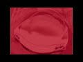 XTREME FISHEYE Poozeex Evil German Gummy Bear Song