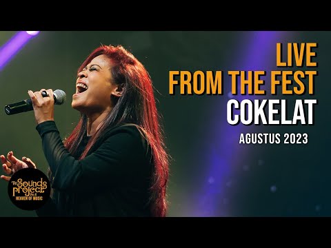 The Sounds Project and Musicverse ID