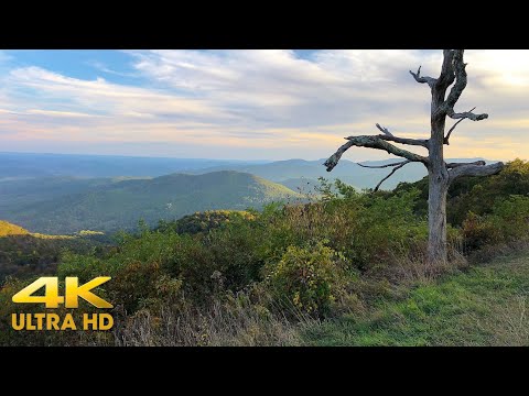 Shenandoah National Park in Early Fall 4K | Skyline Drive | 2 Hours Relaxing Scenic Driving Virginia
