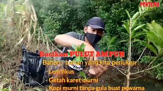Download lagu Cara Ampuh Pikat Burung Prenjak Yang Susah Turun - Pekicau Liar mp3 Download lagu Cara Ampuh Pikat Burung Prenjak Yang Susah Turun - Pekicau Liar mp3