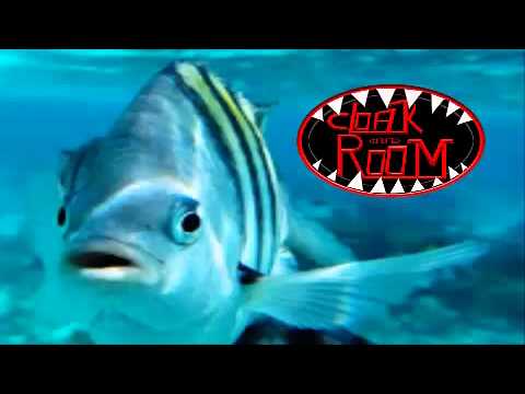 Dj Bam Bam, Hatiras vs Chardy, Kronic - Thrill Her Swat Team (Bassjackers Mashups)