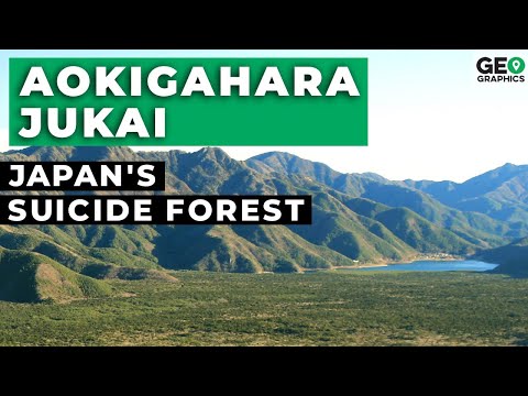 Aokigahara-Jukai: Japan's Suicide Forest