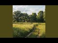 Meadow Sessions