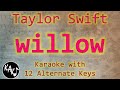 willow Karaoke - Taylor Swift Instrumental Cover Lower Higher Male Original Key