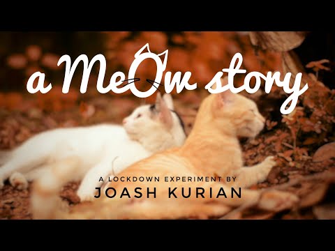 a Meow story | experimental Short Film |Joash Kurian |