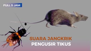 Download lagu Suara Jangkrik Pengusir Tikus mp3