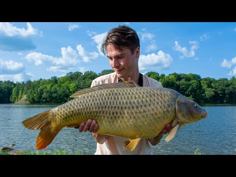 U.S. River Carp Fishing - A Wild Water Adventure