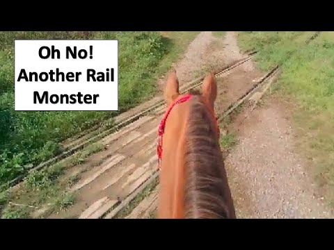 Crikey! 😳 Farouk meets the Railway Lines Again, will I have to Get Off? ☠️👽🏇🏼