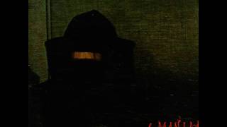 Robyn Hitchcock &amp; the Egyptians - Some Body