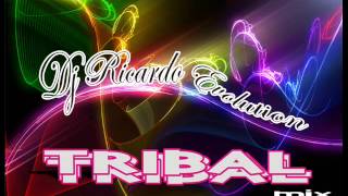 tribal 2013 mix Dj Ricardo Evolution
