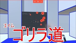 【達成】 AimHeroでレベル10いけた！ エイムゴリラへの道