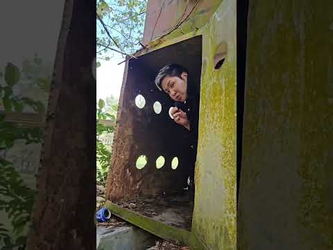 จะหาผมเจอไหม #สุนัข #สุนัขทหาร #ทหารไทย #กองทัพบก #joelong #โจล่ง