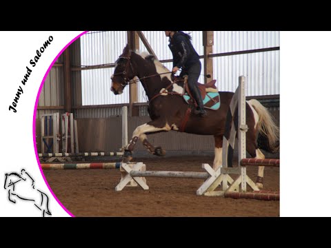 Springlehrgang 14 15 02 15 kommentiert