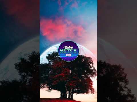 Hadise Küçük Bir Yol Remix Baas Bossted