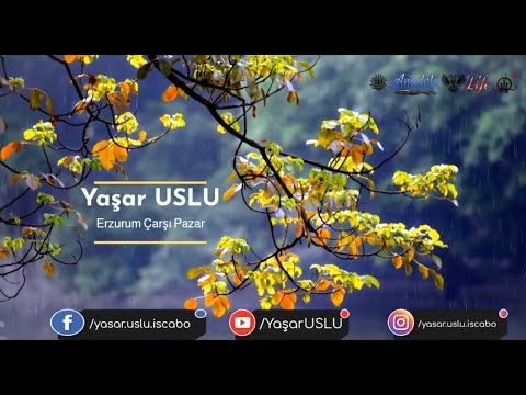 Yaşar USLU - Gönülden Ezgiler - Erzurum Çarşı Pazar - Sarı Gelin