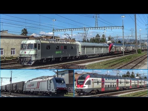 Bahnverkehr an der Bözbergstrecke bei Rheinfelden - Swiss Express Überführung, Güterzüge und mehr