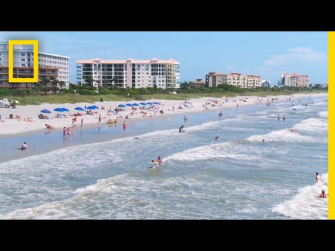 Shark Attack Capital of the World - NatGeo