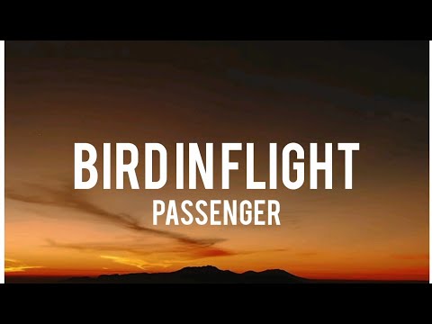 Passenger -  Bird In Flight (Lyrics)