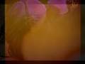 Najwa Nimri - le tien le mien sien ... 